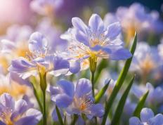 开云体育官网-包含摩羯座球员奉献精彩表现，取得胜利的词条